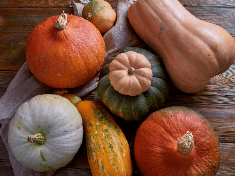 Har du styr på dine græskar? Hokkaido eller butternut – find ud af hvilket græskar der er bedst til dine madretter!